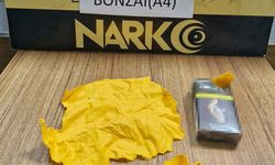 Manisa'da binlerce içimlik bonzai ele geçirildi: 6 kişi tutuklandı!