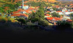 İzmir Aliağa'daki Hazine arazileri için 45 milyonluk teklif!