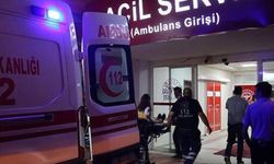 Muğla'da akılalmaz olay: Seyir halindeki otomobilden atılan kadın, öldü!