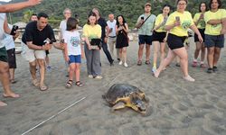 Muğla'da tedavi edilen deniz kaplumbağası 'Şimşek' denize bırakıldı