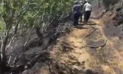 Yemek ısıtmak için yakılan ateş incir bahçesini yaktı