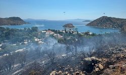 Bodrum'da makilik ve otluk alanda çıkan yangın söndürüldü