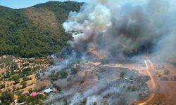 Fethiye'de çıkan orman yangınına havadan ve karadan müdahale ediliyor