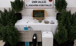 İzmir'de hükümlünün yatak odasında uyuşturucu serası bulundu