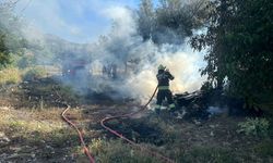 Muğla'da itfaiye 5 buçuk yılda 3 bin 268 çevre yangınına müdahale etti