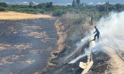 Aydın'da 3 günde 176 yangına müdahale edildi