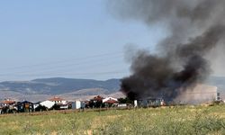 Barınakta korkutan yangın: Kullanılamaz hale geldi