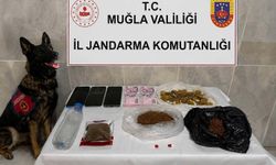 Evinde 188 gram bonzai ile yakalandı: Zehir taciri tutuklandı!
