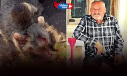 Balkonda uyurken ayı saldırdı: Yaşlı adamın korkunç sonu!