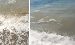 Bodrum'da deniz kirliliği: Soruşturma başlatıldı!