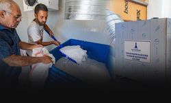 Balıkçıların girdi maliyetlerini azaltacak destek: 5 kooperatife buz makinesi