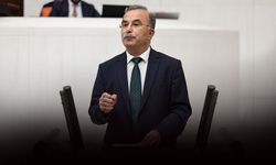 DEM Parti’den cumhurbaşkanlığı mesajı: Kendi adayımızı çıkaracağız!