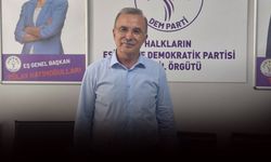 DEM Partili Akın'dan 'Terörsüz Türkiye' değerlendirmesi: Demirtaş serbest bırakılmadan süreci anlatamayız