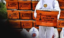 Büyükşehir’den arıcılara şeker desteği