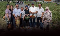 Doğanlar Kent Bostanı’nda hasat heyecanı