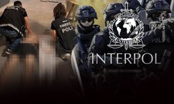 Hem İran hem Türk vatandaşı: Interpol'ün aradığı kişiyi MİT yakaladı