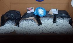 İzmir'de dev 'torbacı' baskını: 196 bin hap ele geçirildi