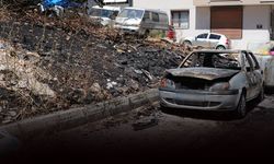 İzmir'de otluk alanda yangın: Araçlar kül oldu!