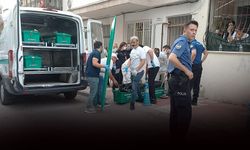 Kardeşini 'uyuyor' sanmış... 2 gün cesediyle kalmış!