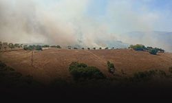 İzmir'de tarım arazisinde yangın paniği... Alevler kontrol altına alındı!