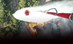 Menemen'de makilik alanda yangın!