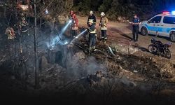 Ormanı yakan sigara izmariti çıktı: Şüpheli yakalandı