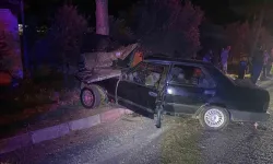 Ödemiş'te ağaca çarpan otomobildeki iki kişi yaralandı