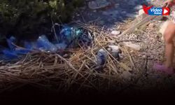 Urla’da cennet koy çöplüğe döndü: Yazıklar olsun size!