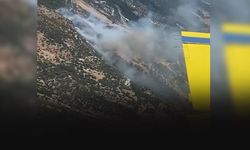 İzmir yanıyor... Alevlere havadan ve karadan müdahale!