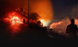 İzmir'in kuzeyinde yangın: Bergama'da mücadele sürüyor, Çandarlı kontrol altında