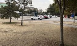 16 yaşındaki kız, arkadaşını falçatayla yaraladı!
