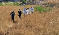 Şanlıurfa’da tarlada erkek cesedi bulundu