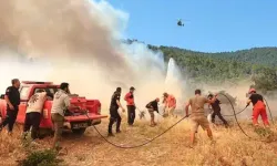 Beş ildeki yangınların bilançosu ortaya çıktı