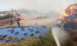 Aydın'da tarım arazisinde yangın