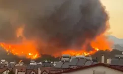 Muğla'da orman yangını