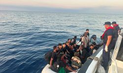 İzmir'de 44 düzensiz göçmen yakalandı