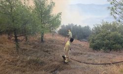 Manisa'da çıkan orman yangını kontrol altına alındı