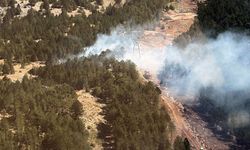 Muğla'nın ciğerleri yanıyor: Havadan karadan müdahale!