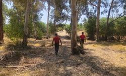 Muğla'da kaybolan kişi aranıyor