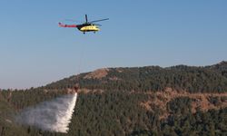 Aydın'daki orman yangını 2'nci gününde