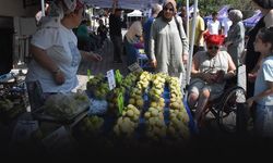 Torbalı’da Bardacık inciri festivali coşkusu: Üretici ve vatandaşlar buluştu