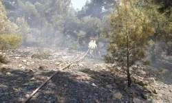 Denizli'de ormanlık alanda çıkan yangın kontrol altına alındı