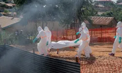 DSÖ uyarısı felaketi doğruladı: O ülkede tarihin en ölümcül Ebola salgını!