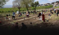 200'den fazla kadın toprakla buluştu: Mahalle Bostanları üretim ve dayanışma merkezi oldu