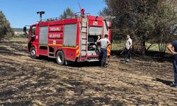 Kütahya'daki örtü yangını, erken müdahaleyle söndürüldü