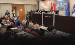 Karşıyaka Meclisi'nde stat tartışması... Ünsal: Ruhsat başvurusu da kesinleşmiş proje de yok!