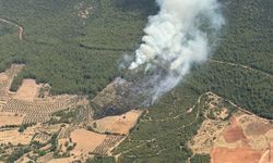 Muğla'nın Kavaklıdere ilçesinde orman yangını