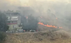 Marmaris'teki orman yangını faciası ikinci gününde!