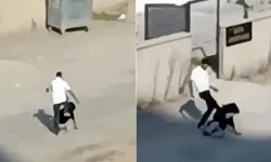 Tartıştığı kadına kabusu yaşattı: Apartman bahçesinde öldüresiye darp!