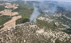 Manisa'da çıkan orman yangınına müdahale ediliyor